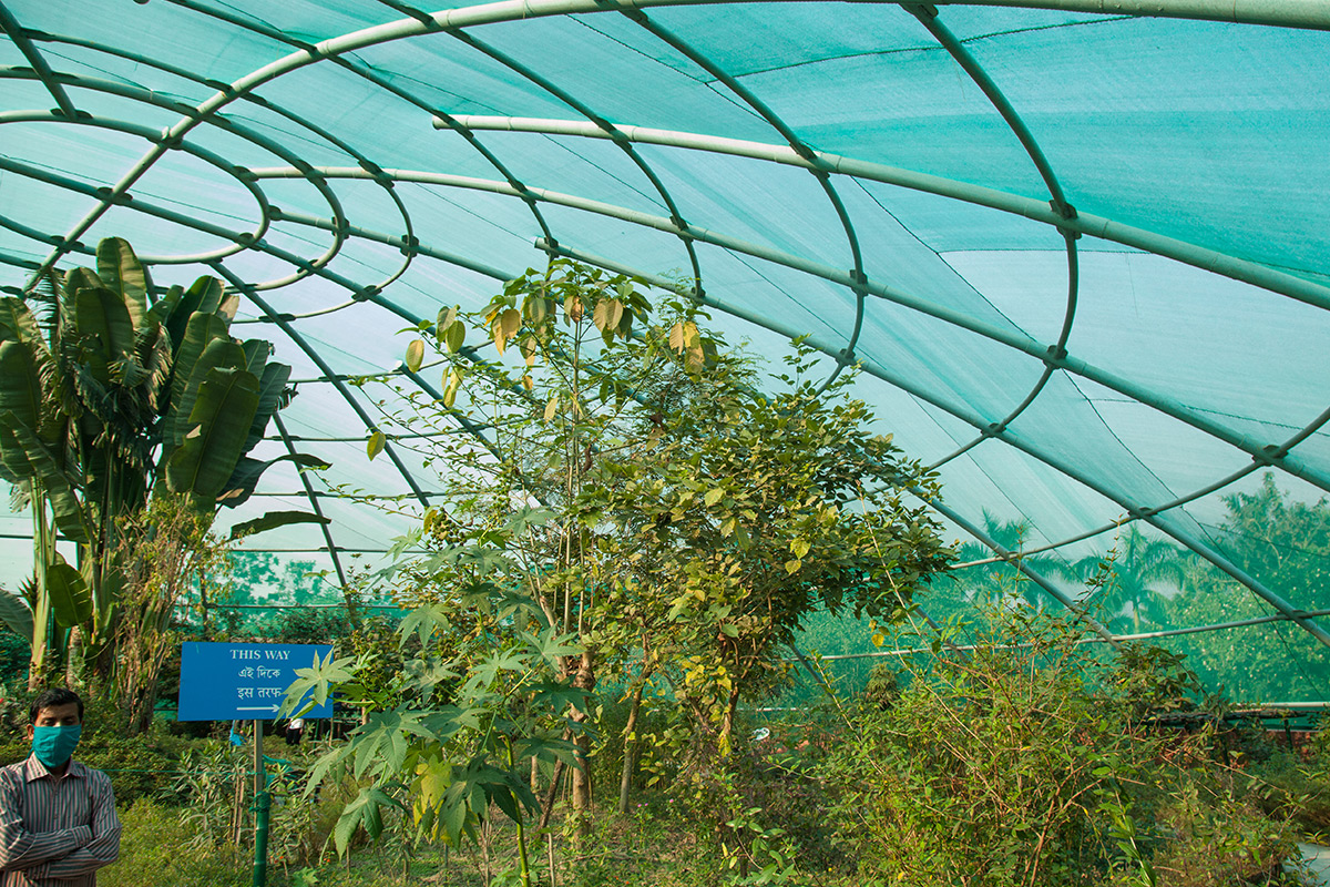 Eco Park New Town Eco Park Rajarhat Kolkata